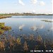 Восточный (Верхний) Бурцевский пруд в городе Москва