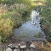 Канава для сброса воды из Верхнего пруда в городе Москва