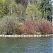 Средний остров Верхнего Царицынского пруда в городе Москва