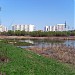 Заболоченный участок в низовьях реки Чертановки в городе Москва