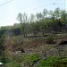 Бывшая заболоченная местность в городе Москва