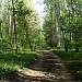 Просека от Чагинских прудов до тропинки от ул. Головачёва в городе Москва