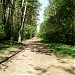 Центральная часть Кузьминского лесопарка в городе Москва
