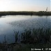 Пруд в городе Москва