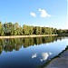 Большой Лосиноостровский пруд (пруд МГСУ) в городе Москва