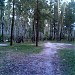 Раменский городской парк в городе Раменское