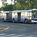 Pętla autobusowa 