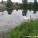 Бутаковский залив в городе Москва