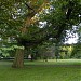 Park Steffensa (pl) in Gdańsk city