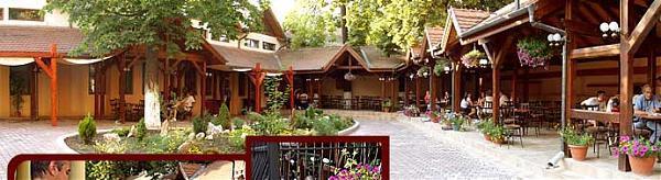 Fostul Restaurant Terasa Trei Stejari Sibiu