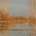 Reserva Natural do Paúl do Boquilobo na Golegã city