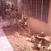 CA D.Banerjee House in Asansol city