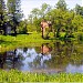 Приютинский пруд в городе Всеволожск