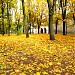 Lossipark in Narva city