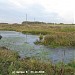 Двурогий пруд в городе Москва