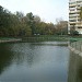 Семёновский (Белый) пруд в городе Москва
