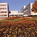 Бывшее здание Образовательного комплекса дизайна и технологий в городе Москва
