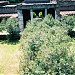 Villa di Poppea ad Oplontis in Torre Annunziata city