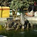 Boy with a Fish Fountain in Alushta city