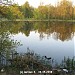 Большой (Нижний) Старомарковский пруд в городе Москва
