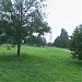 Парк Левобережный в городе Москва