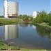 Нижний пруд в городе Долгопрудный