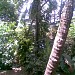 My Home - Anil Kumar ( L.B.S Centre for Science & Technology. ) in Kozhikode city