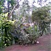 My Home - Anil Kumar ( L.B.S Centre for Science & Technology. ) in Kozhikode city