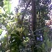 My Home - Anil Kumar ( L.B.S Centre for Science & Technology. ) in Kozhikode city