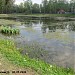 Шереметьевский пруд в городе Долгопрудный