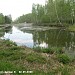 Шереметьевский пруд в городе Долгопрудный