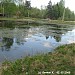 Шереметьевский пруд в городе Долгопрудный