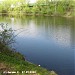 Хлебниковский пруд в городе Долгопрудный