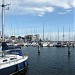 Basen Jachtowy, marina in Gdynia city