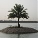 جزرة صناعية في ميدنة بغداد 