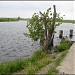 Плотина № 2 в городе Мурино