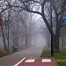 Park Sady Żoliborskie in Warszawa city