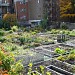 Jardin communautaire des Franciscains (fr) in Quebec City, Quebec city