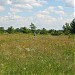 Заказник «Урочище Бобровня» в городе Киев