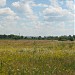 Заказник «Урочище Бобровня» в городе Киев