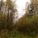 Просека газопровода от 3-й Черепковской ул. до 57 км МКАД (ru) in Moscow city