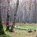 Малая поляна в городе Москва