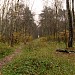 Просека от стадиона «Медик» до МКАД (ru) in Moscow city