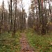 Просека от стадиона «Медик» до МКАД (ru) in Moscow city