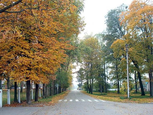 Želdiniai Šalčininkai
