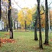 Želdiniai yra Šalčininkai mieste