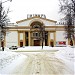 Городская художественная галерея с киноконцертным залом в городе Саров