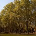 Parque Sarmiento en la ciudad de Río Cuarto