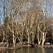 Parque Sarmiento en la ciudad de Río Cuarto