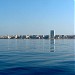 SHAHIN TOWER HOTEL in Tartus city